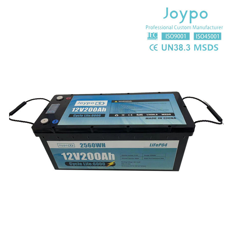 RV Camper Long Life LFP Lifepo4 Pin 12V 24V 100Ah 200Ah Với Smart BMS